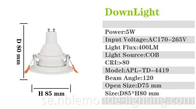 Indoor LED Down Light